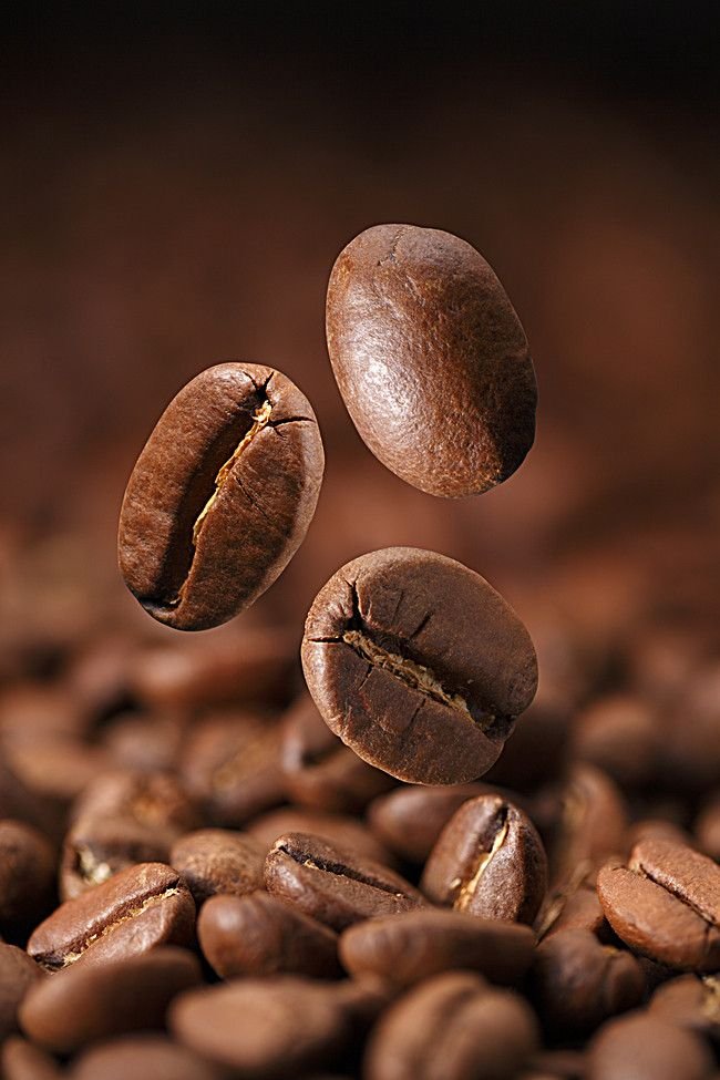 Read more about the article What is Specialty coffee